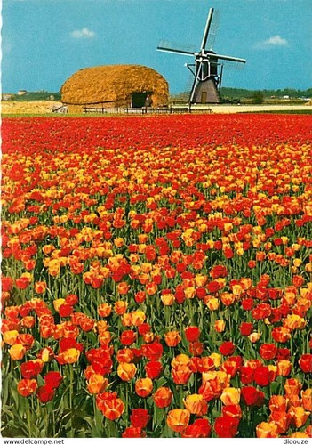 Carte postale moulin - postale, à