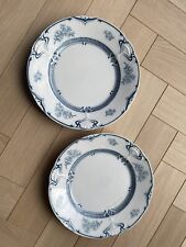 2 Assiettes plates terre de