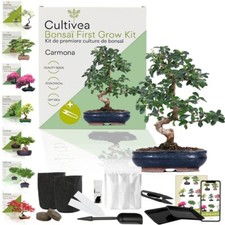 CULTIVEA® Set de bonsaï First Bonsai - Set complet de graines de bonsaï