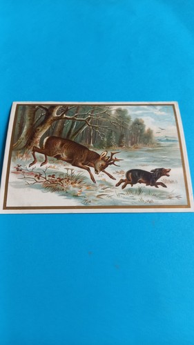 Chromo chasse cerf et - ,
