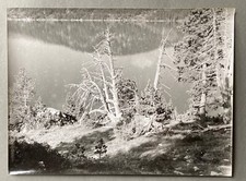 Photo argentique par Bernard Darot XXe Arbre mort devant un lac N°2  H6282