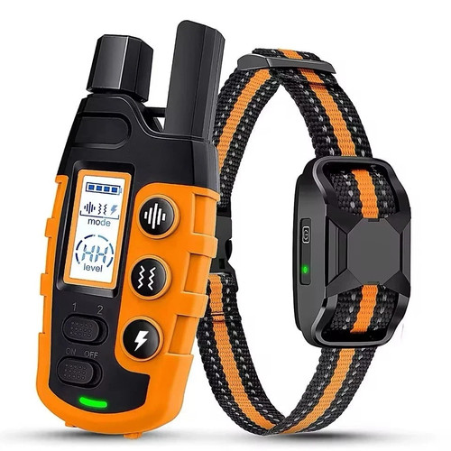Collier dressage chien - dressage,