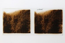 Forêt Le Désert Photo Plaque P9T8n10 Vintage Stereo