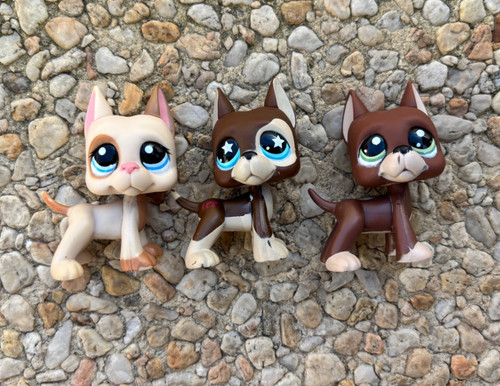 Lps littlest pet - lps, shop