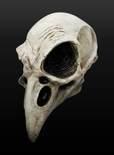 Tête corbeau masque de - masque,
