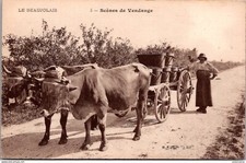 S18245 cpa 69 Le Beaujolais - scènes de Vendange