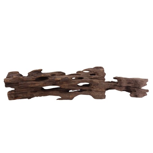 Honey peigne racine 2064 - l,
