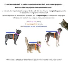 Manteau Polaire Chien Chat