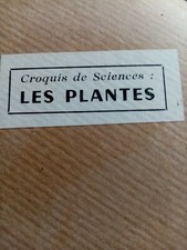 ancien croquis de sciences:le haricot n 23/le blé n 24 .edition rossignol.36/52