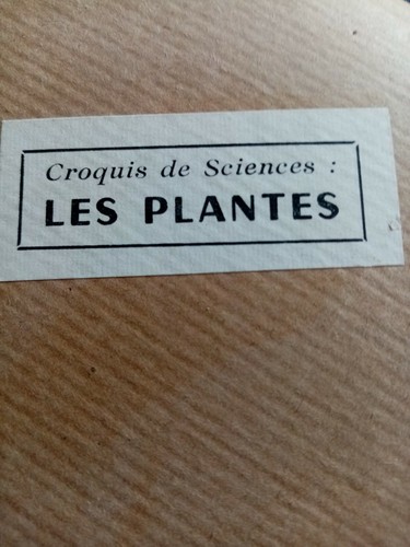 Ancien croquis sciences - ancien,