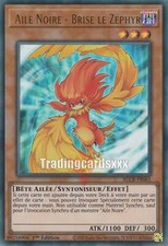 Yu-Gi-Oh! Aile Noire - Brise
