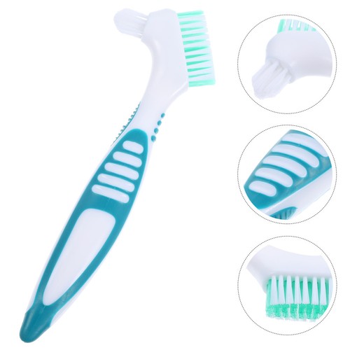 Carapace tortue brosse - carapace, de
