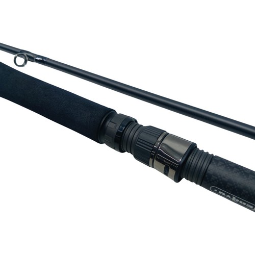 Tenryu shore jigging - jigging, rod