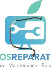 CABLE D'ÉCRAN LCD LVDS NAPPE