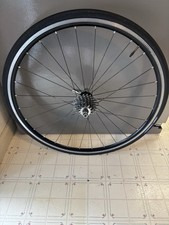 Coda Expert 650C Rear Wheel