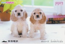 Carte JAPON - ANIMAL CHIOT - CHIEN COCKER SPANIEL - PUPPY DOG JAPAN Kansai card