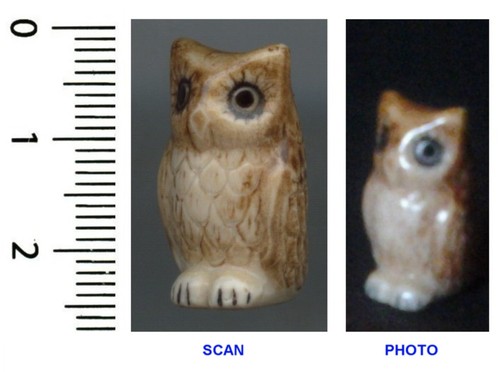 Collection chouette hibou - de,