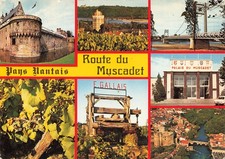 44 ROUTE DU MUSCADET