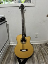 Carvin Acoustic-Electric