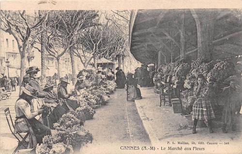 Cpa cannes marche aux - marche,