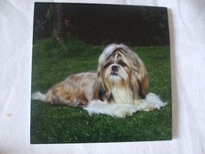 Carnet aimanté à feuilles - SHIH TZU