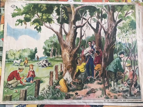 Ancienne affiche scolaire - scolaire, an