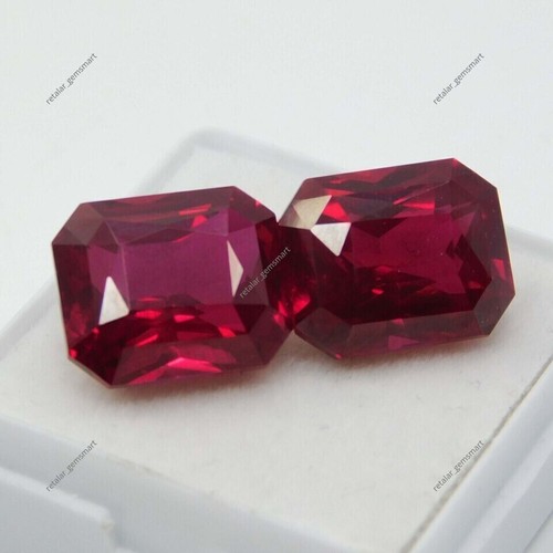 Sang pigeon rubis rouge - pigeon,