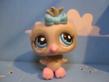 PETSHOP CHOUETTE / HIBOU