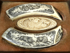 Trophée Set De Chasse Dent De