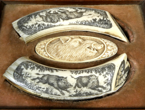 Trophée set chasse dent - set, de