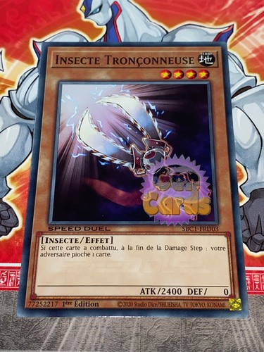 Carte oh insecte - gi,