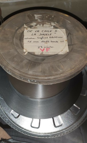Film cage à - 16, mm