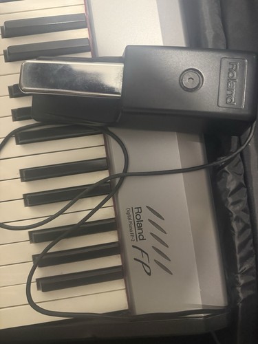 Roland touches piano - touches,