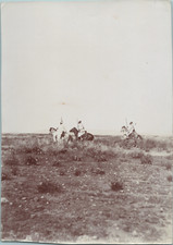 Maroc, Oujda, cavaliers