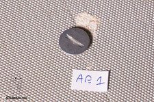 CACHE MOTEUR POUR CANON AE-1 / PROGRAM