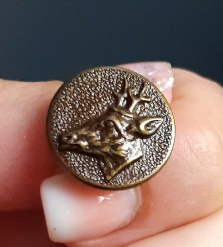 M24 bronze color deer head - m24,