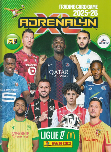 Ogc nice panini ligue - ligue, 1