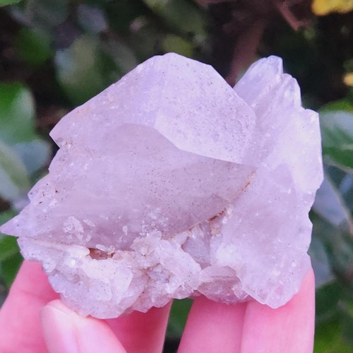 Quartz peigne alpes france - quartz, alpes,