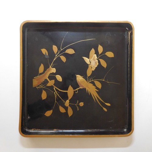 N9228 lacquered wood - wood, tray