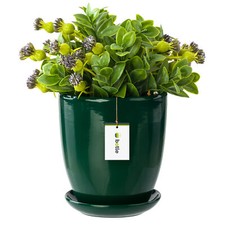 Pot de fleur bouteille verte avec soucoupe Rond 240 mm x 260 mm Surface brillant