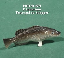 Prior 1971, l’Aquarium, Tassergal ou Snapper, plastique 50 mm