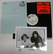 BLACKBIRD Howl 1988 US ORG 12" + PRESS KIT Post PUNK Kinman DILS Rank and FILE