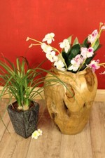 Teck Bois de Racine Vase Fleurs Séchées Décoration Massif Pot Grand