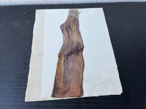 Aquarelle tronc arbre - aquarelle,