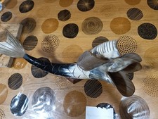 poisson en corne de vache de