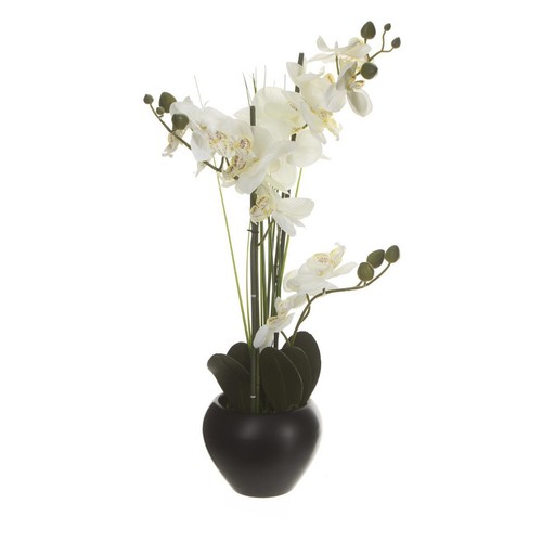 Composition florale vase - &,