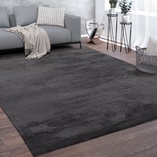 Tapis De Salon Poils Ras