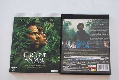 Regne animal uhd - animal, 4k