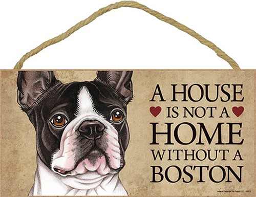 Boston terrier house not a - boston,
