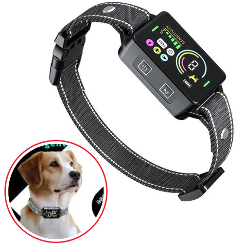 Collier anti aboiement chien - collier,